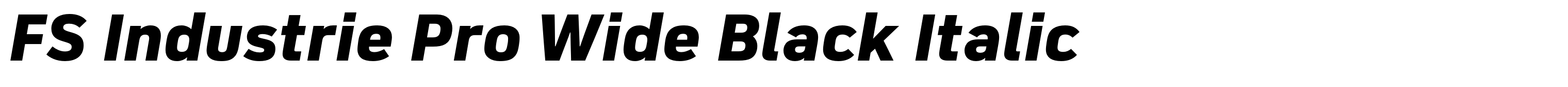 FS Industrie Pro Wide Black Italic